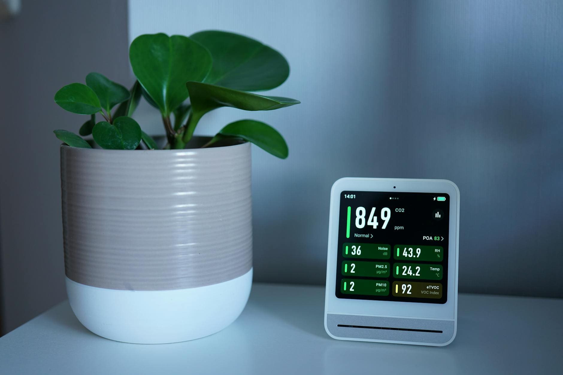 air purifier living room
