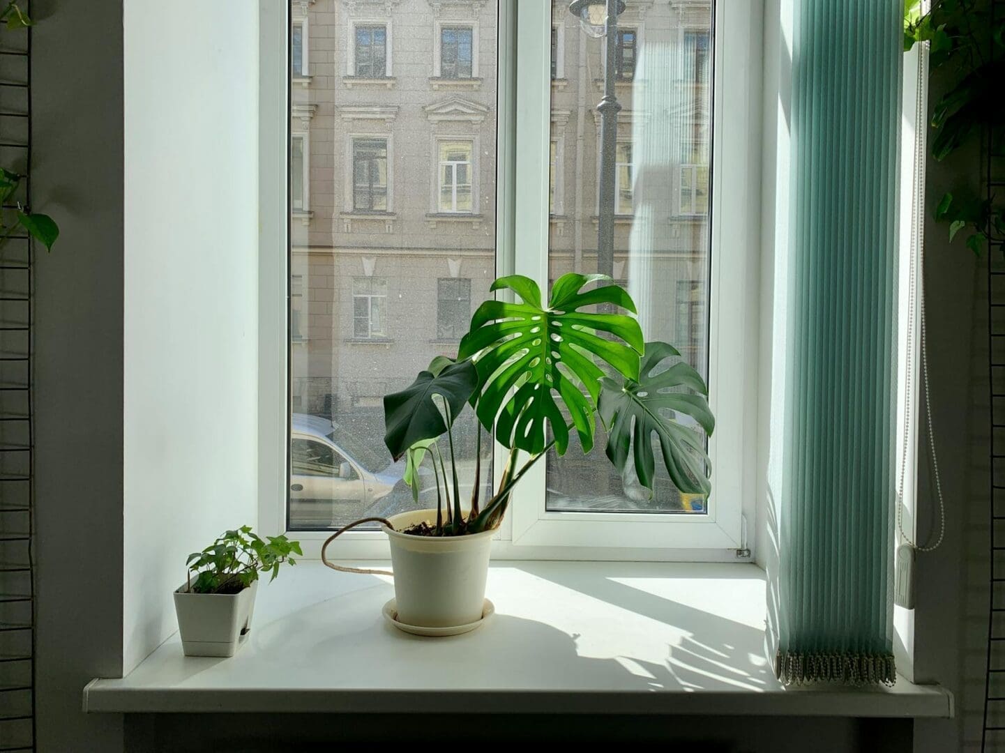 How to Choose the Best Air Purifier for Your Home