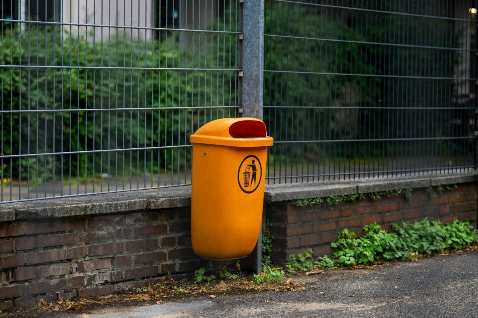 Trash Can Buying Guide: Kitchen and Home Options Explained