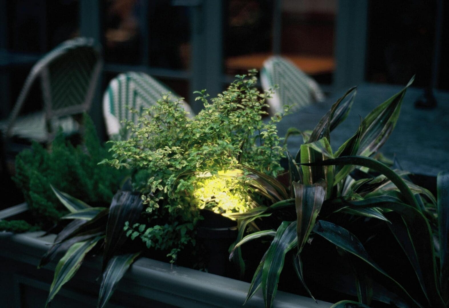 outdoor patio lighting evening