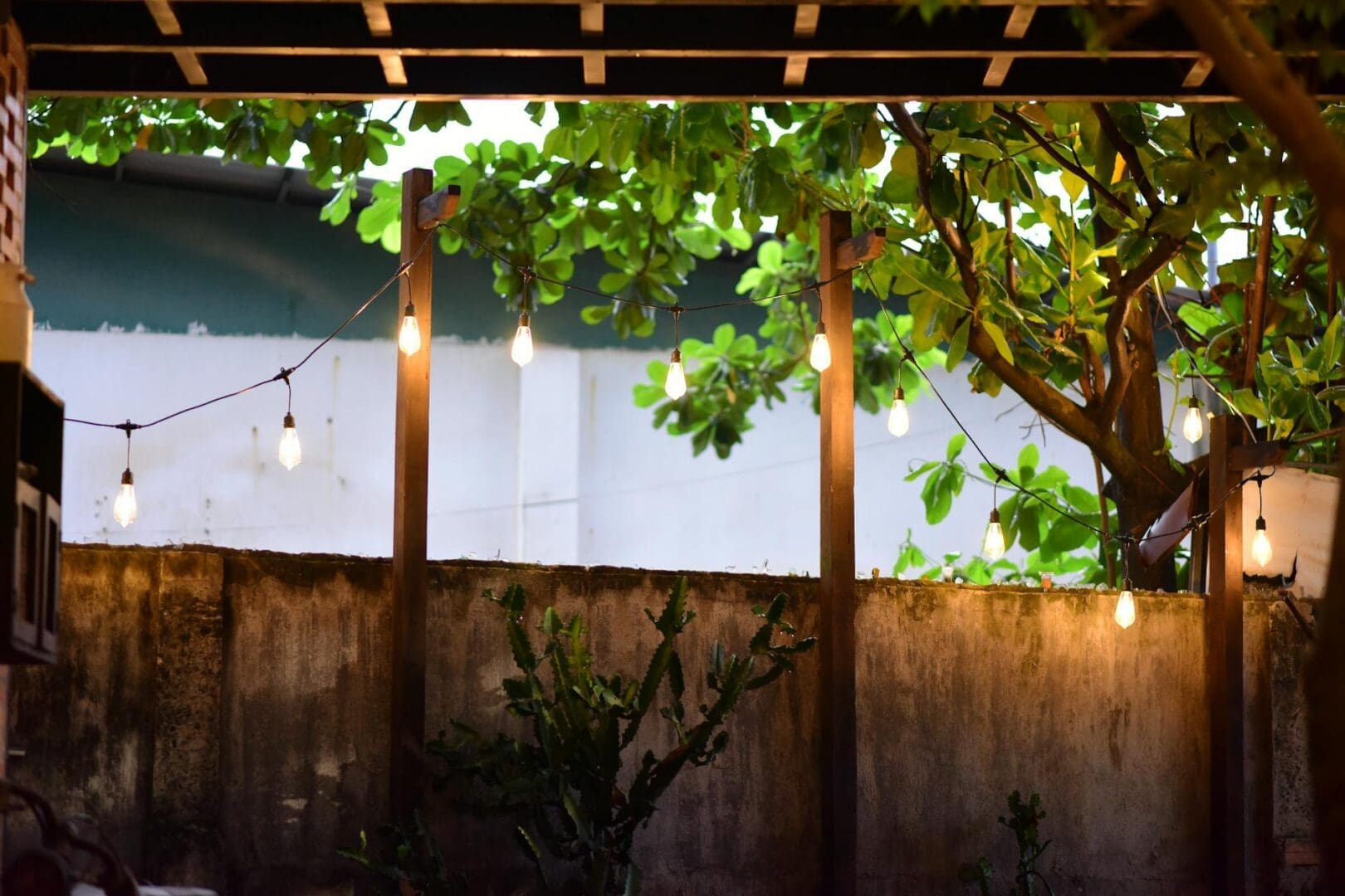 patio string lights evening