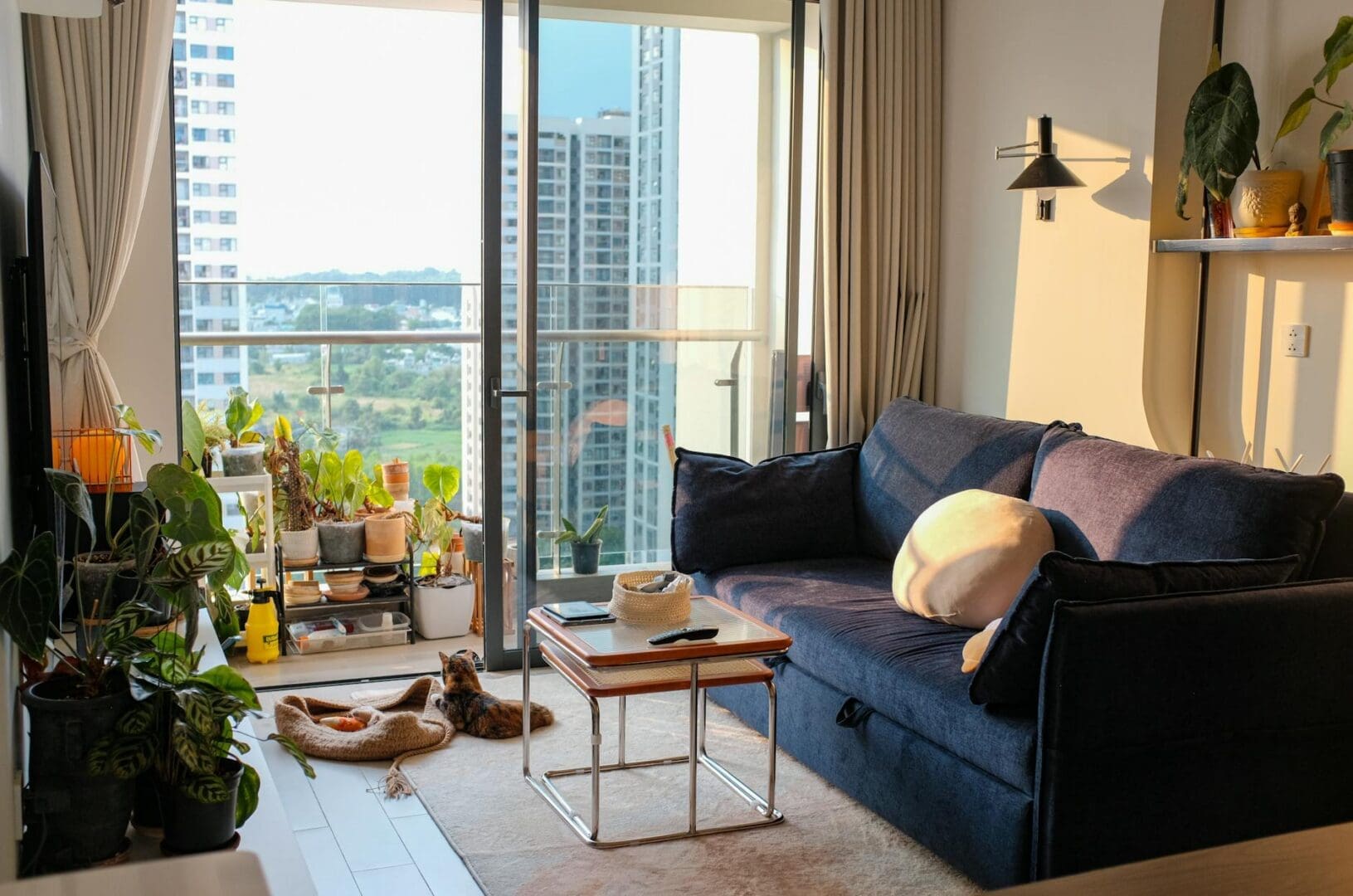 How to Create a Pet-Friendly Living Room That’s Still Stylish
